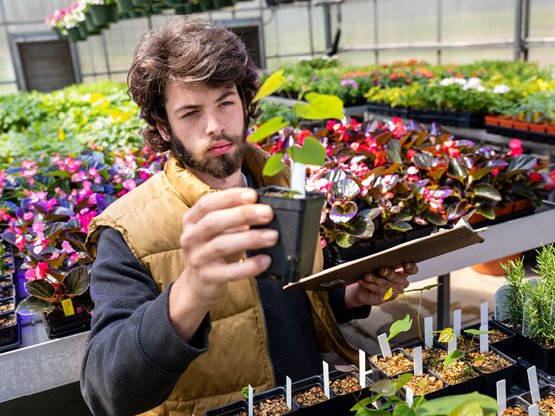 Student examining plants in greenhouse