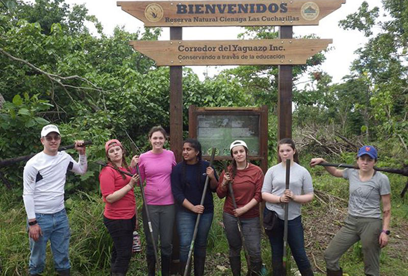 Berks students worked on mangrove preservation in Puerto Rico.
