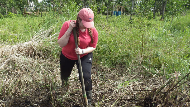 Penn State Berks students worked to help restore mangrove forests during the Alternative Spring Break to Puerto Rico.