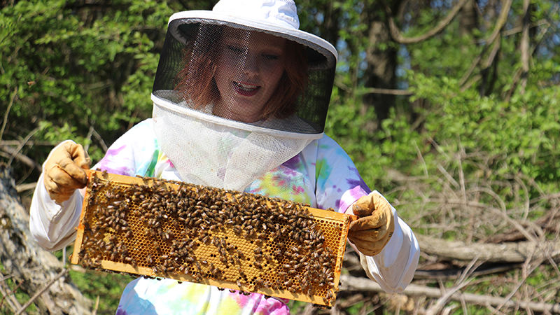 Cassandra Carnell checks her bee boxes on campus