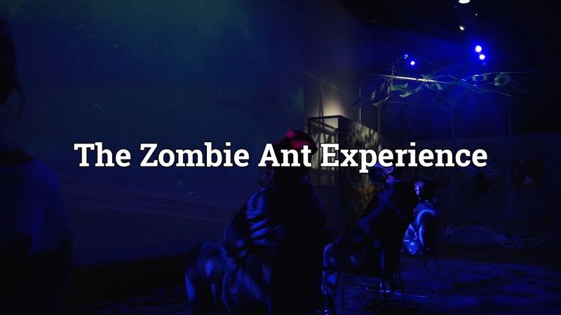 The Zombie Ant Experience | SciArt