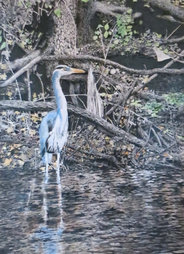 painting - Blue Heron by Ed McCarty