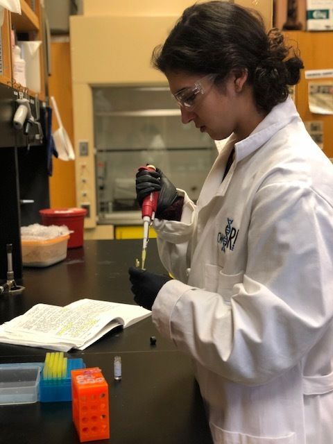 Erin Horack conducting her research in a lab.