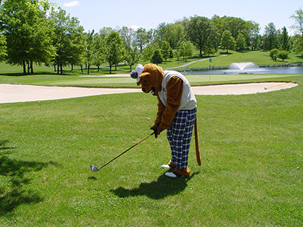 lion playing golf