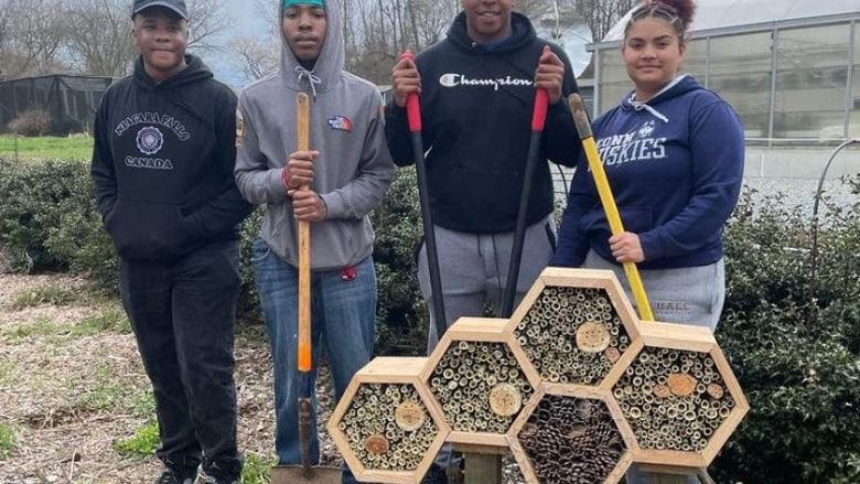 Students with bee hotels