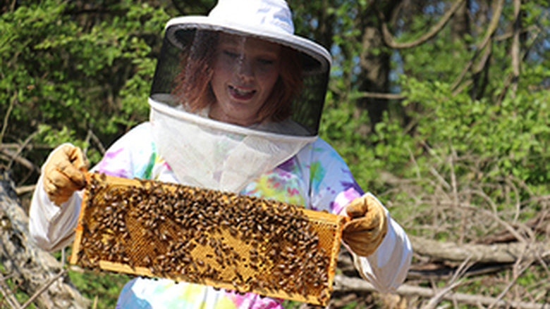 Cassandra Darnell setting up her honey bee boxes