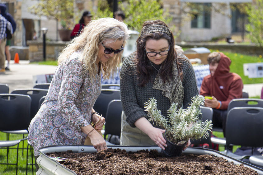 Berks staff member and student plant seeds in campus garden