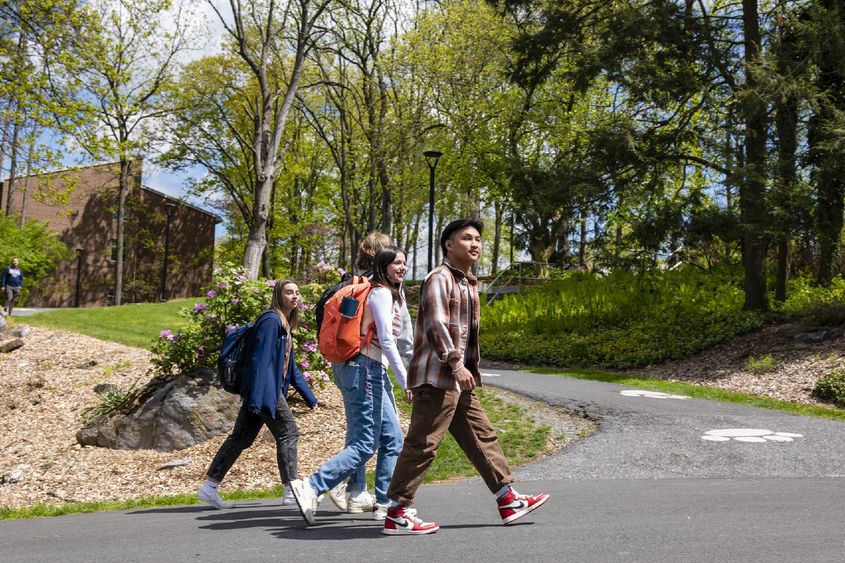 Students walking up a concrete path