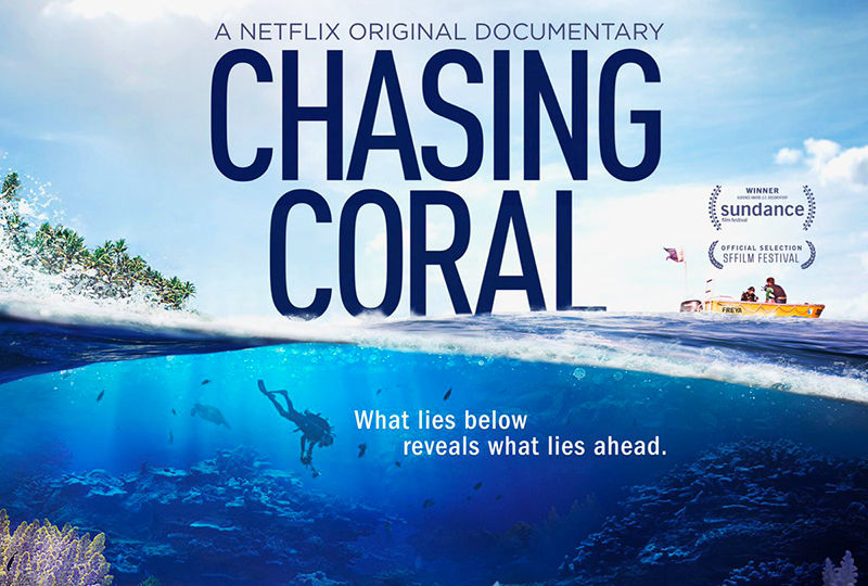 Chasing Coral logo