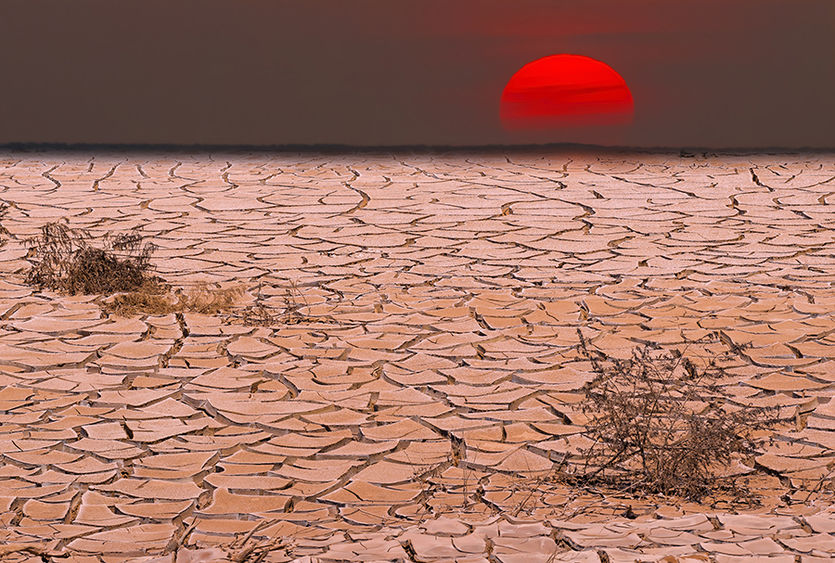 drought landscape