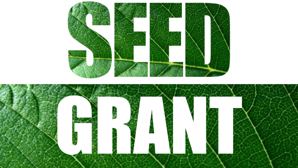 RISE seed grant