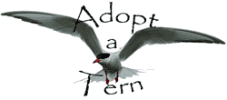 Adopt-a-tern logo