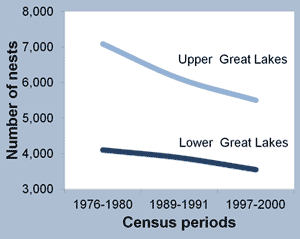 Chart showing declining tern population