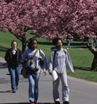 students at Penn State Berks